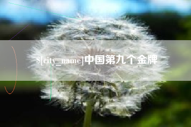 格尔木中国第九个金牌