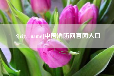 格尔木中国消防网官网入口