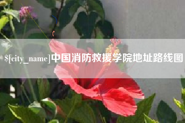 格尔木中国消防救援学院地址路线图