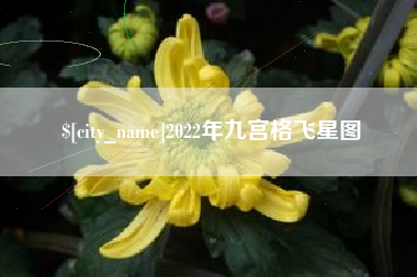 格尔木2022年九宫格飞星图