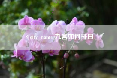 格尔木九宫如何排日