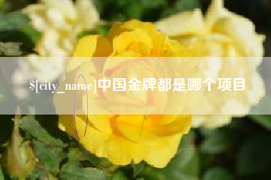 格尔木中国金牌都是哪个项目