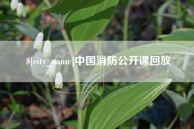格尔木中国消防公开课回放