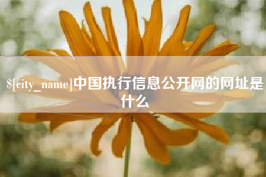 格尔木中国执行信息公开网的网址是什么