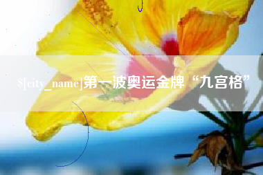格尔木第一波奥运金牌“九宫格”