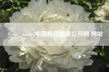 格尔木中国执行信息公开网 网址