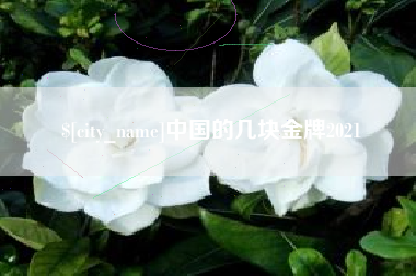 格尔木中国的几块金牌2021