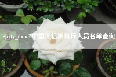 格尔木中国失信被执行人员名单查询