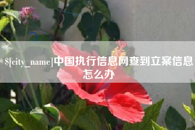 格尔木中国执行信息网查到立案信息怎么办