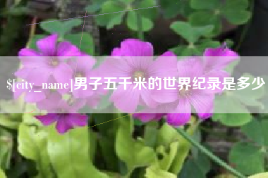 格尔木男子五千米的世界纪录是多少