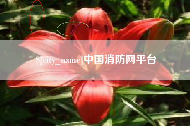 格尔木中国消防网平台
