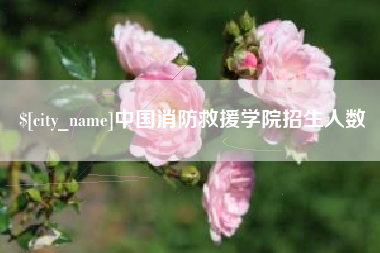 格尔木中国消防救援学院招生人数