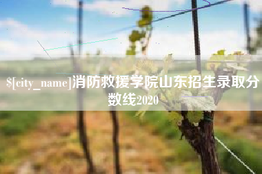 格尔木消防救援学院山东招生录取分数线2020