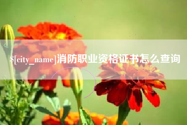 格尔木消防职业资格证书怎么查询