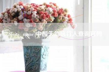 格尔木中国失信执行人查询官网