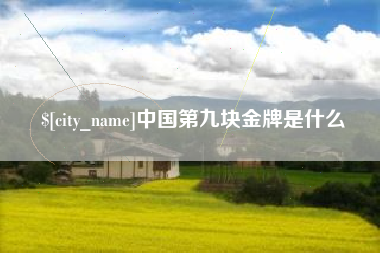 格尔木中国第九块金牌是什么