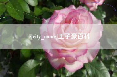 格尔木王子豪百科