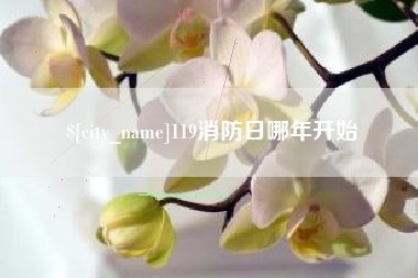 格尔木119消防日哪年开始
