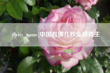 格尔木中国有哪几枚金牌得主
