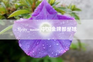 格尔木中国金牌都是啥