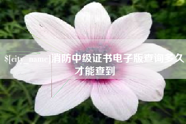格尔木消防中级证书电子版查询多久才能查到