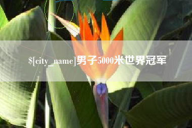 格尔木男子5000米世界冠军