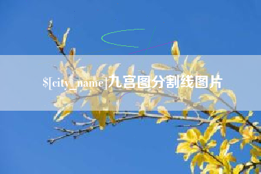 格尔木九宫图分割线图片
