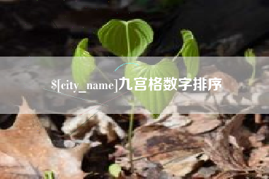 格尔木九宫格数字排序