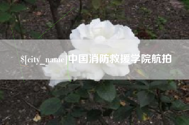 格尔木中国消防救援学院航拍