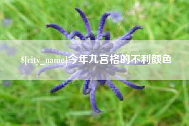 格尔木今年九宫格的不利颜色