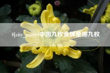 格尔木中国九枚金牌是哪九枚