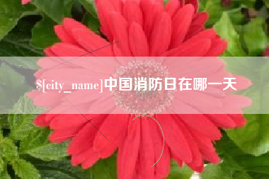 格尔木中国消防日在哪一天