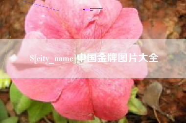 格尔木中国金牌图片大全