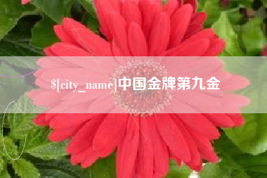 格尔木中国金牌第九金