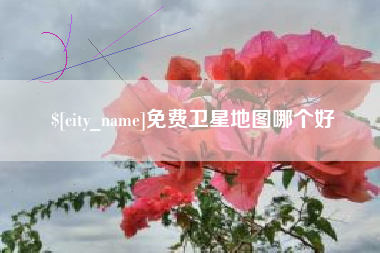 格尔木免费卫星地图哪个好