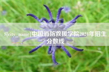格尔木中国消防救援学院2024年招生分数线