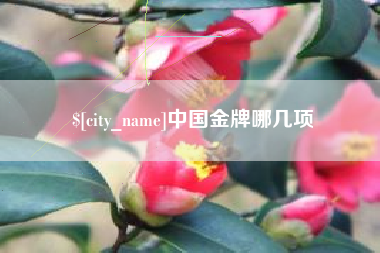 格尔木中国金牌哪几项