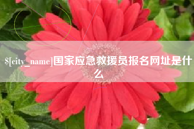 格尔木国家应急救援员报名网址是什么