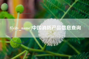 格尔木中国消防产品信息查询