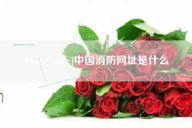 格尔木中国消防网址是什么