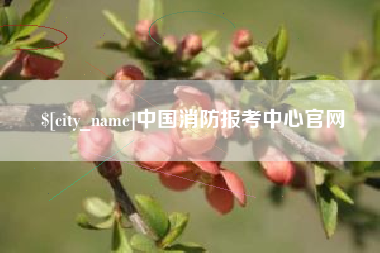 格尔木中国消防报考中心官网