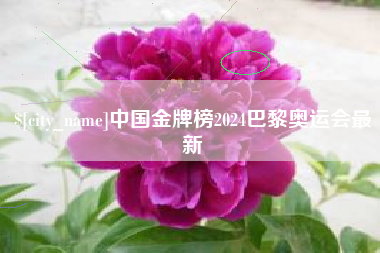 格尔木中国金牌榜2024巴黎奥运会最新