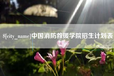 格尔木中国消防救援学院招生计划表
