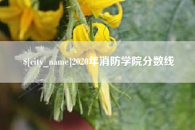 格尔木2020年消防学院分数线