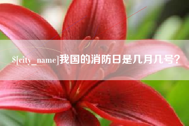 格尔木我国的消防日是几月几号？