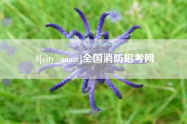 格尔木全国消防招考网