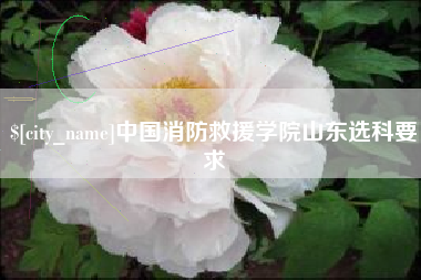 格尔木中国消防救援学院山东选科要求