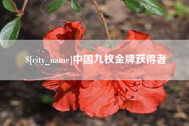 格尔木中国九枚金牌获得者