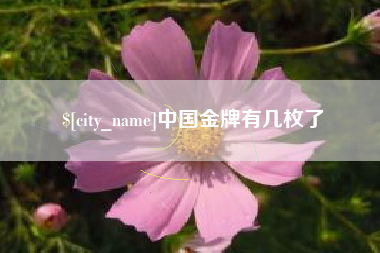 格尔木中国金牌有几枚了