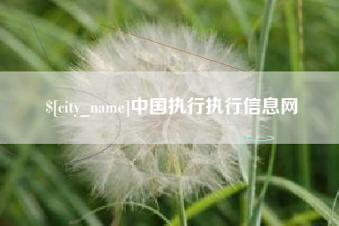 格尔木中国执行执行信息网